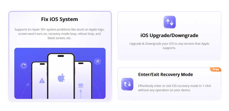 Fix iOS System - iMyFone-D-Back